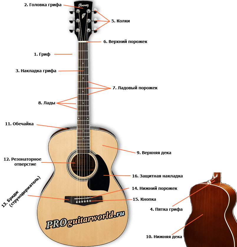 Конструкция акустической гитары: схема